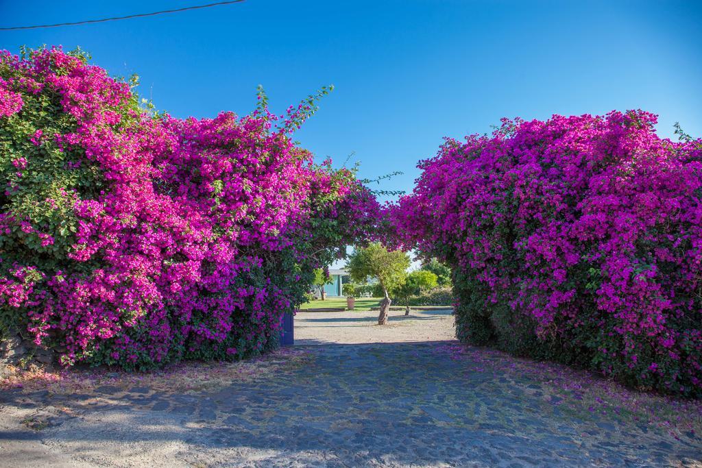 Villa Etna Acireale Exterior foto