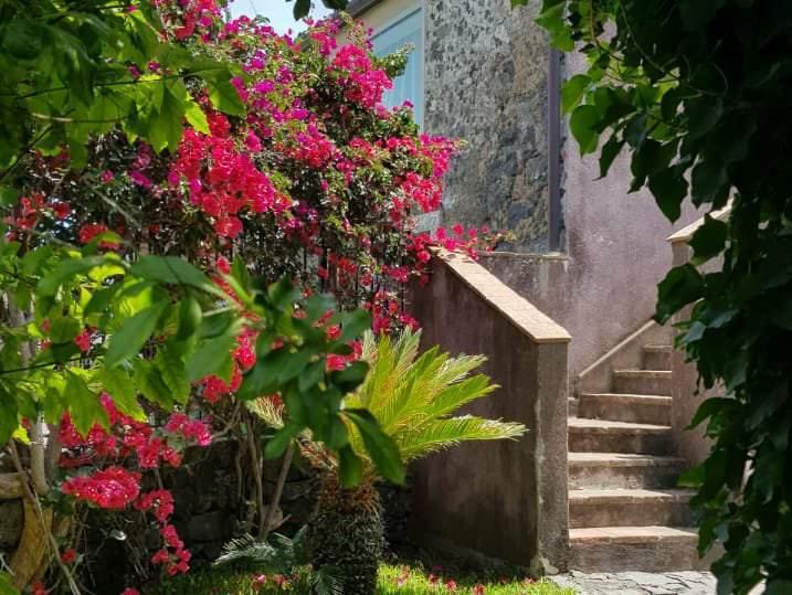 Villa Etna Acireale Exterior foto